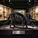 Triceratops Skeleton